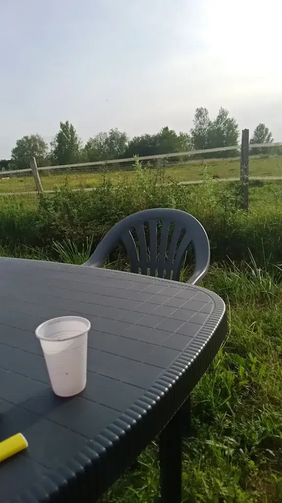 Jonathan Blin_The Caravan_Saint-Louis-de-Montferrand_review