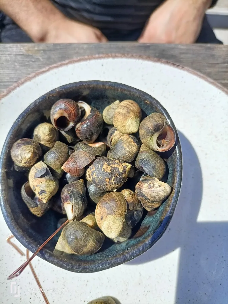 Menu_Bleue dégustation - Vue Panoramique - Producteur- Fruits de mer sélectionnés._Andernos-les-Bains_image_6