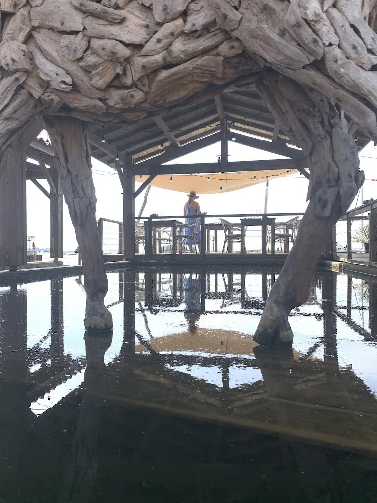 Neil Richardson_Bleue dégustation - Vue Panoramique - Producteur- Fruits de mer sélectionnés._Andernos-les-Bains_review