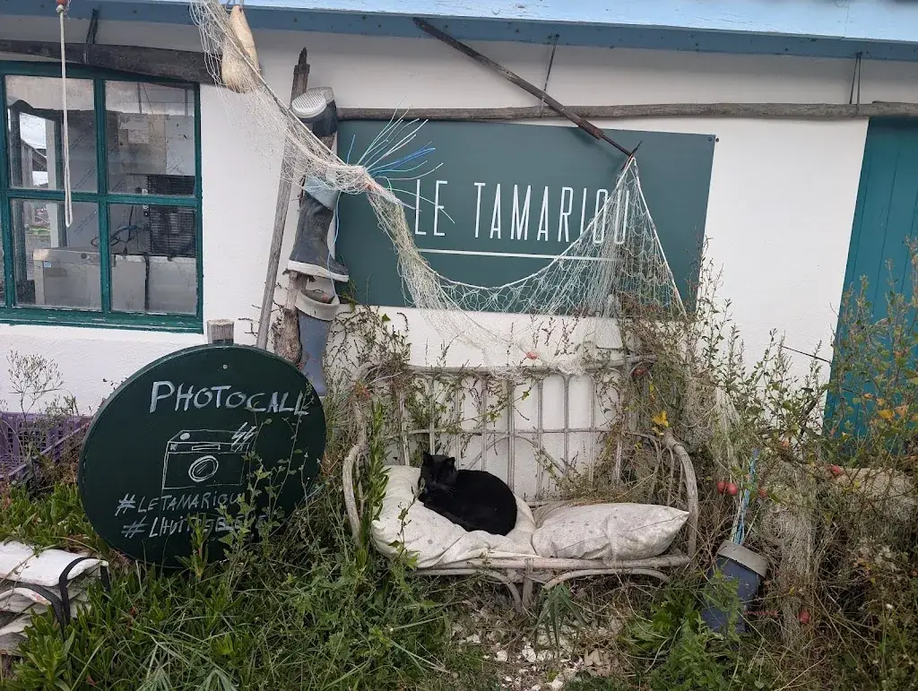 Vivian S._Le Tamariou - Dégustation - Vue Panoramique d’exception_Andernos-les-Bains_review