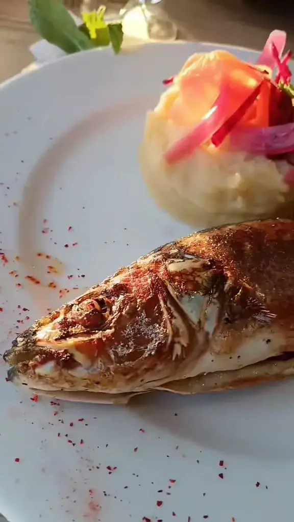 Restaurant Les Tamaris_Andernos-les-Bains_slider_image_2