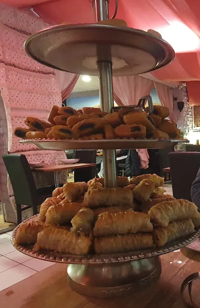 Cyno SnoopKiki 214_Al Fantasia bis_Andernos-les-Bains_review