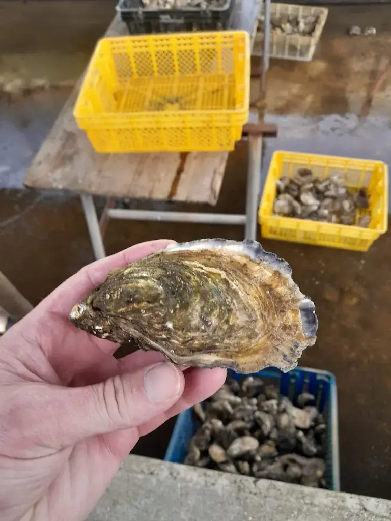 Menu_Cabane Rossignol_Andernos-les-Bains_image_5