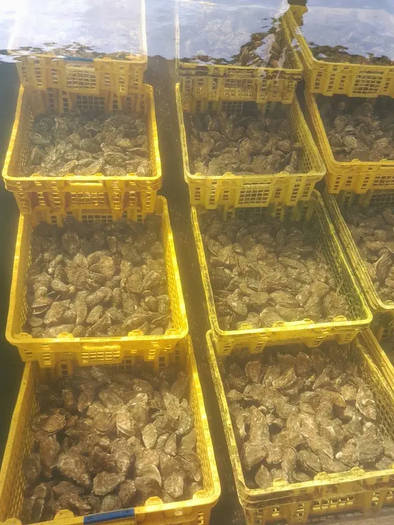 Menu_Cabane Rossignol_Andernos-les-Bains_image_7