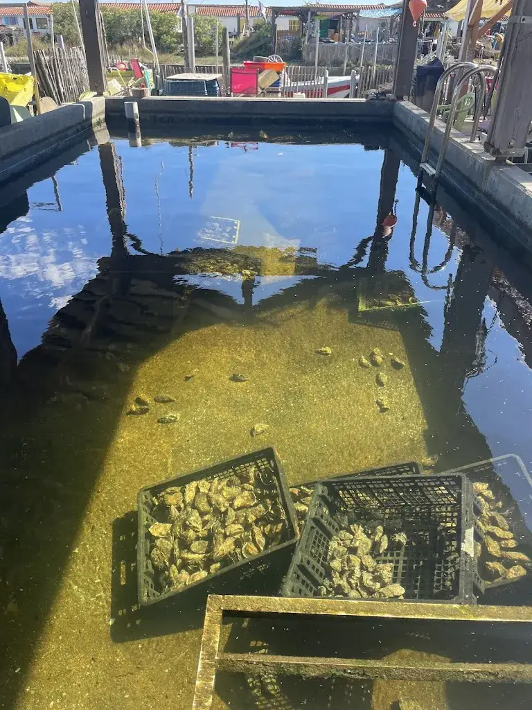 Andre Matarazzo_Cabane Rossignol_Andernos-les-Bains_review