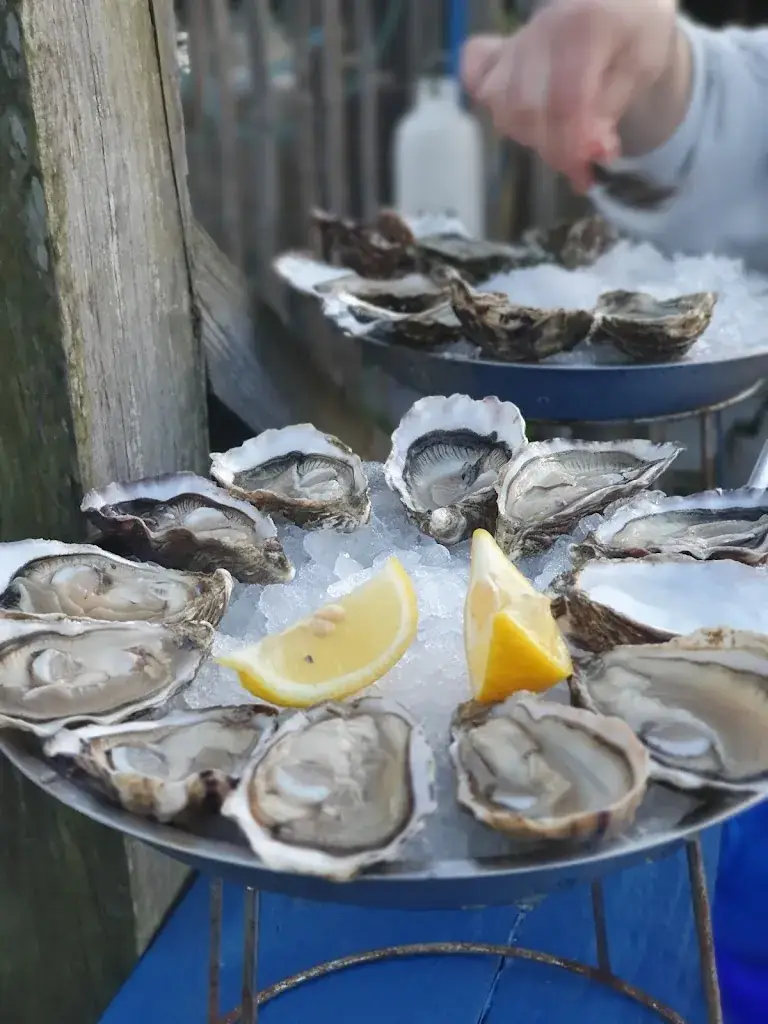 Cyno SnoopKiki 214_Cabane 48 Chez Christine & Remi_Andernos-les-Bains_review