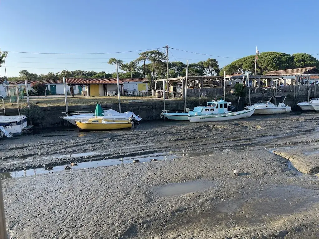 Alisson perez_Chez les Pêchous Dégustation & Vente de poisson du bassin_Andernos-les-Bains_review