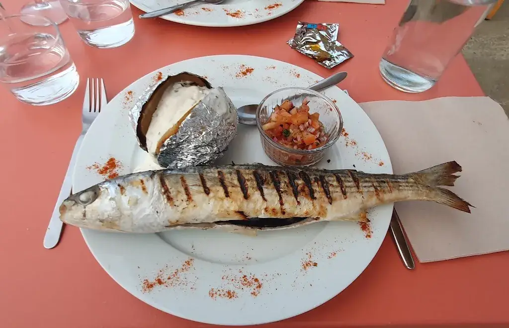 Cyno SnoopKiki 214_Chez les Pêchous Dégustation & Vente de poisson du bassin_Andernos-les-Bains_review