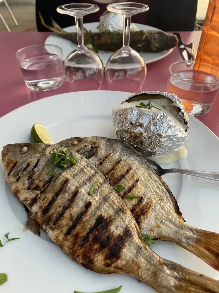 Thibault Teisseire_Chez les Pêchous Dégustation & Vente de poisson du bassin_Andernos-les-Bains_review