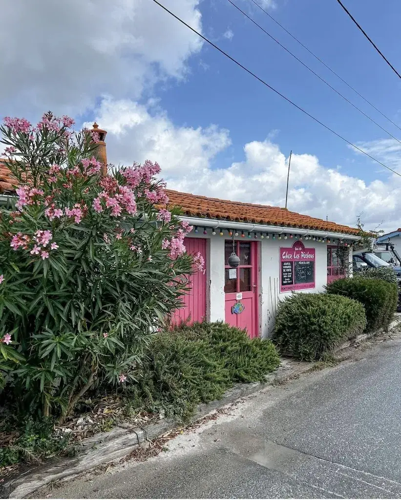 Chez les Pêchous Dégustation & Vente de poisson du bassin_Andernos-les-Bains_slider_image_3
