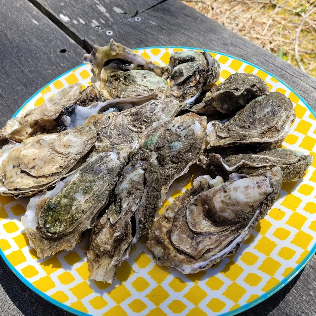 Yves CADIO_Cabane 31_Andernos-les-Bains_review