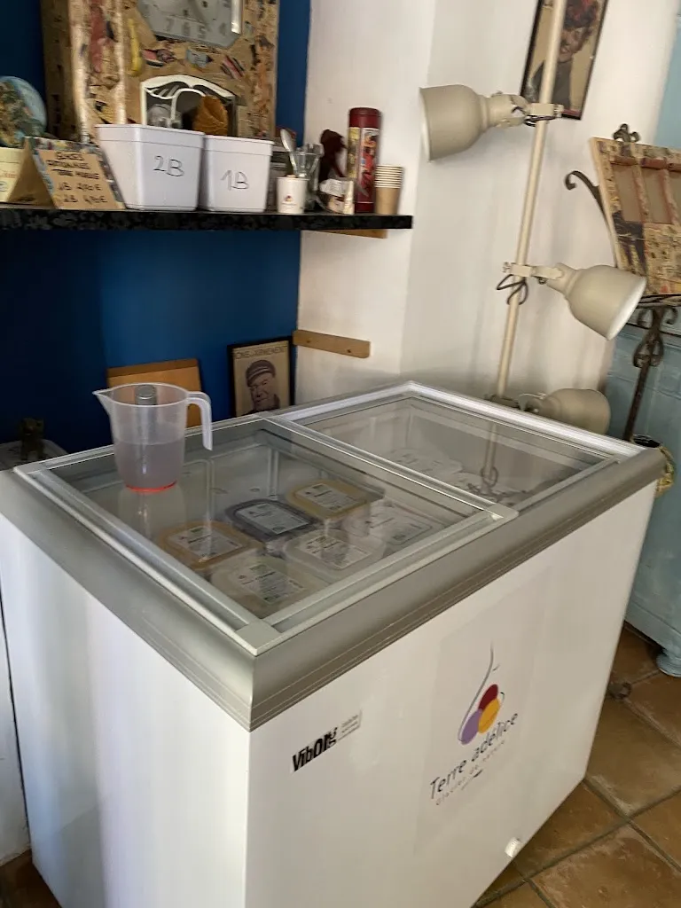 Razvan G Robu_les thés du square_Joyeuse_review