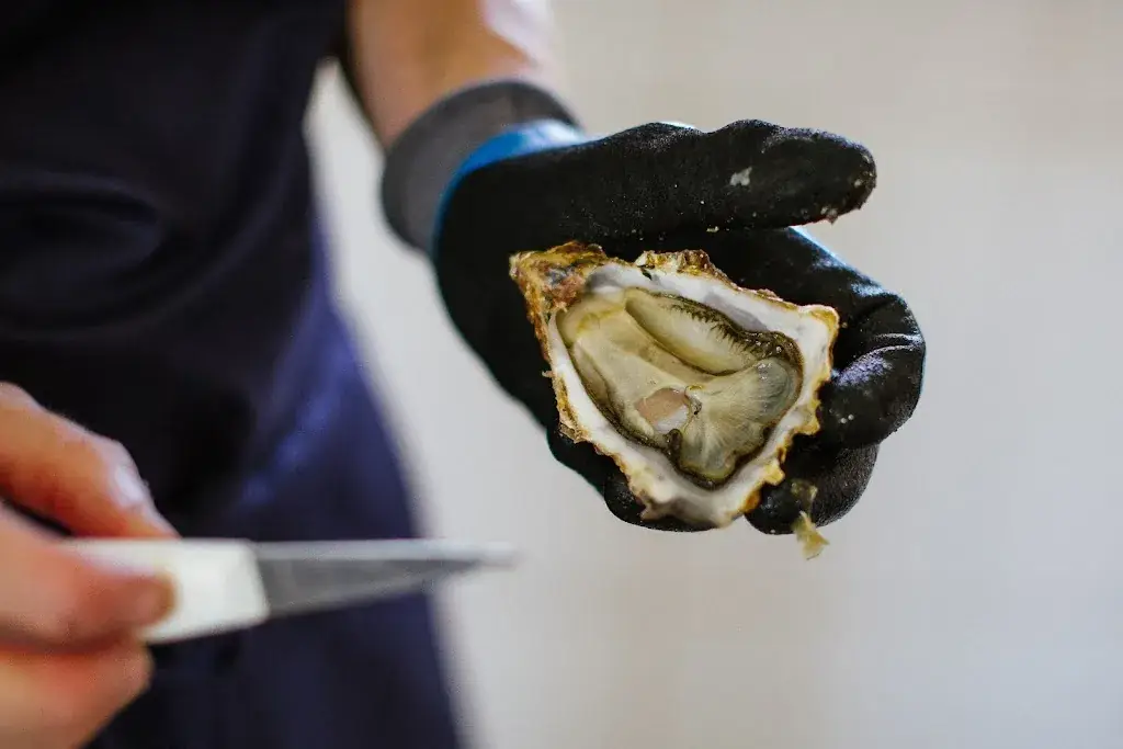 Menu_Nami - Parcs et table ostréicoles_Andernos-les-Bains_image_3