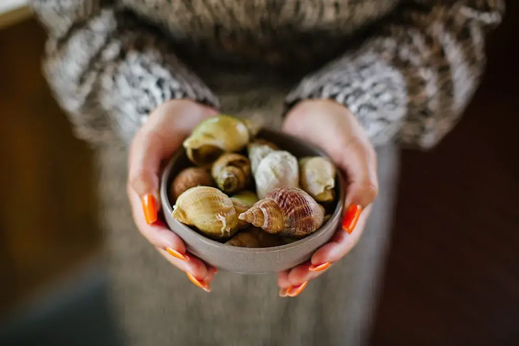 Menu_Nami - Parcs et table ostréicoles_Andernos-les-Bains_image_7