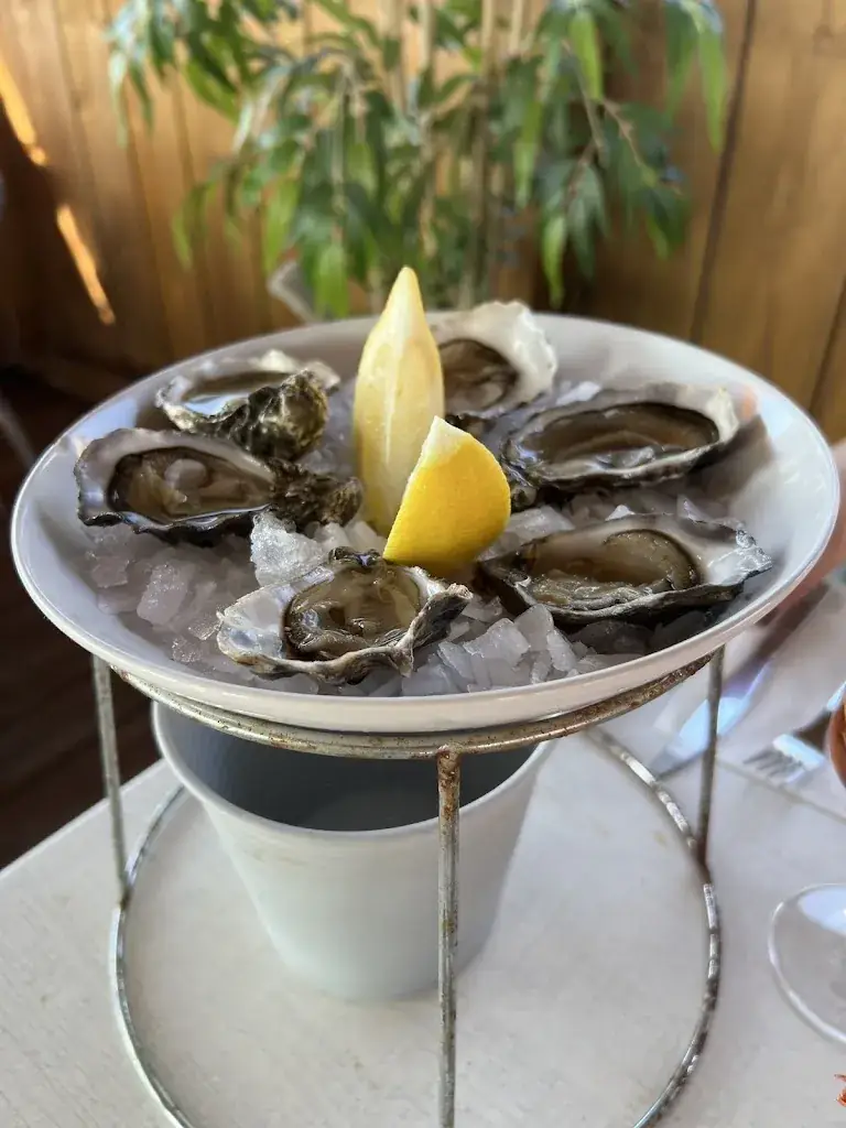 Jan Láznička_Nami - Parcs et table ostréicoles_Andernos-les-Bains_review