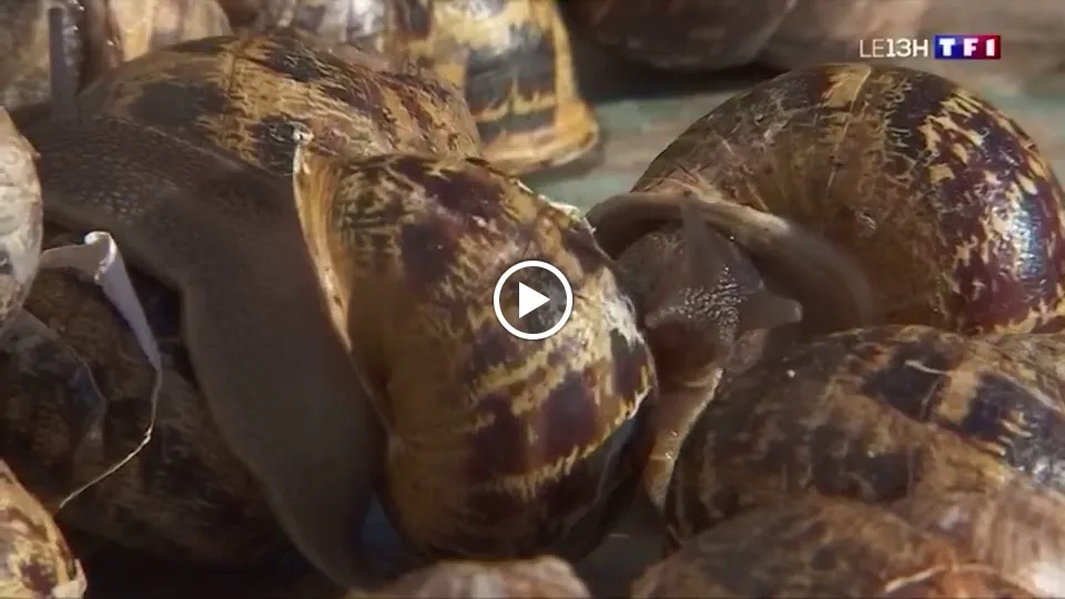 Restaurant l'Espérance_Angoulême_slider_image_2