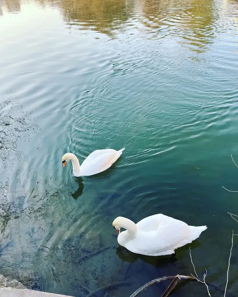 LA COCOTTE_Angoulême_slider_image_3