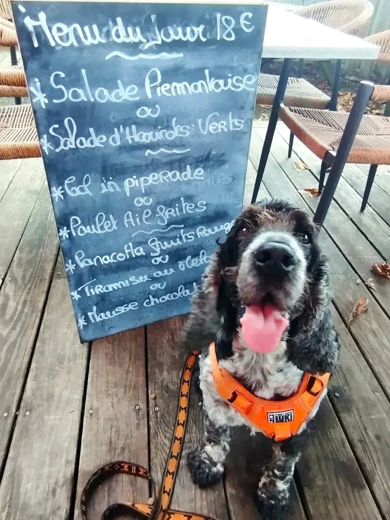 Xavier Blondel_Le Ribote_Tosse_review