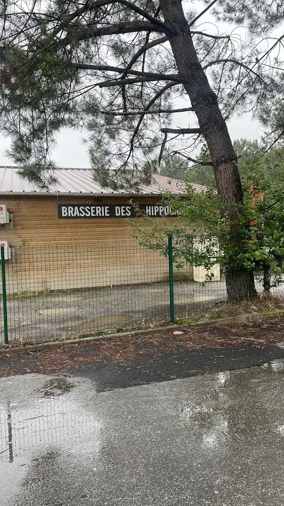 Raquel S_Brasserie des 3 hippocampes_Soorts-Hossegor_review