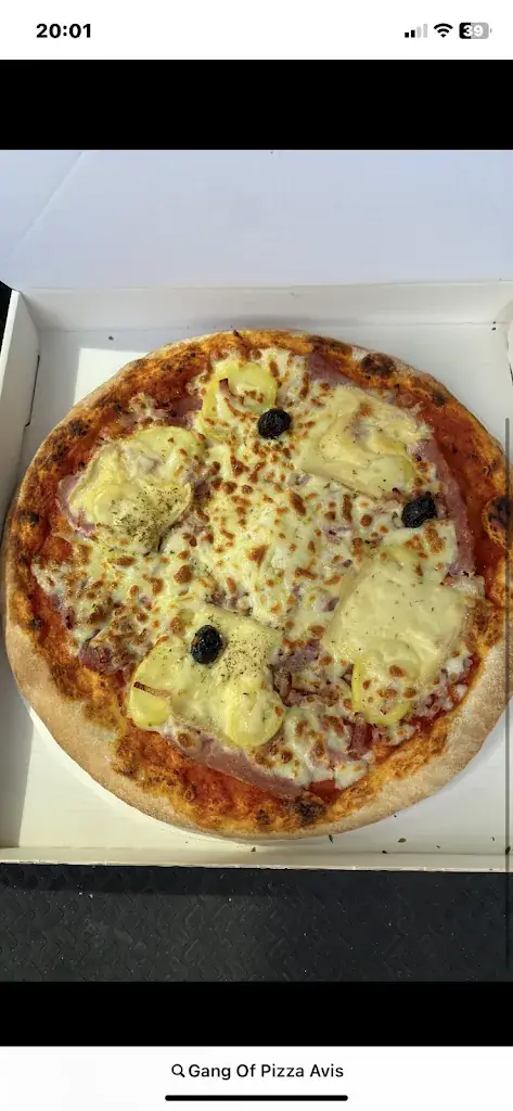 Vincent M_Gang of Pizza_Angresse_review