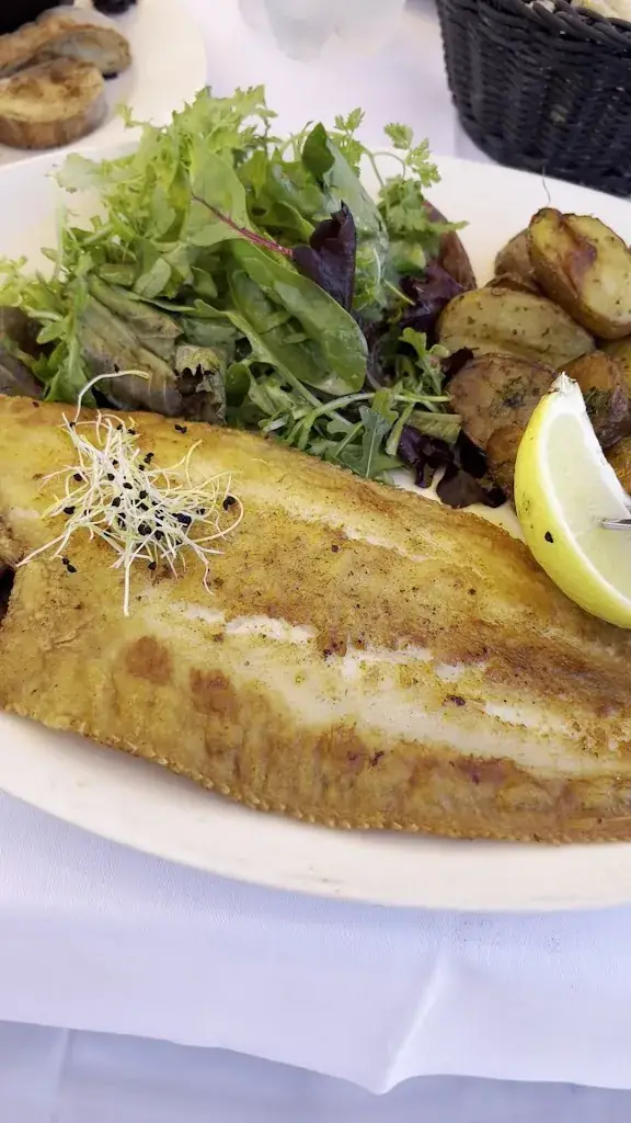 Abdul Uddin_Arcachon 1900_Arcachon_review