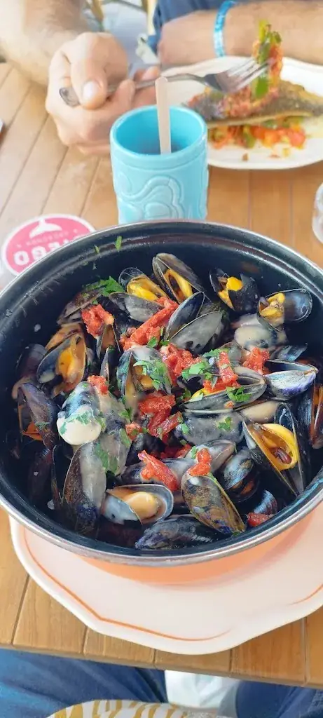 Menu_Diego - Arcachon_Arcachon_immagine_7