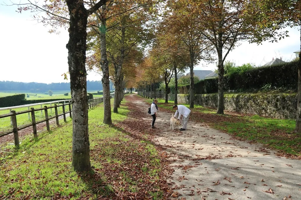 John Palmer_Bar Brasserie Les Remparts Pompadour_Arnac-Pompadour_review