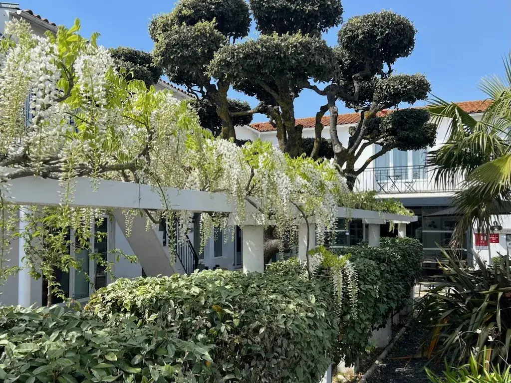 Restaurant Le Martray_Ars-en-Ré_slider_image_3