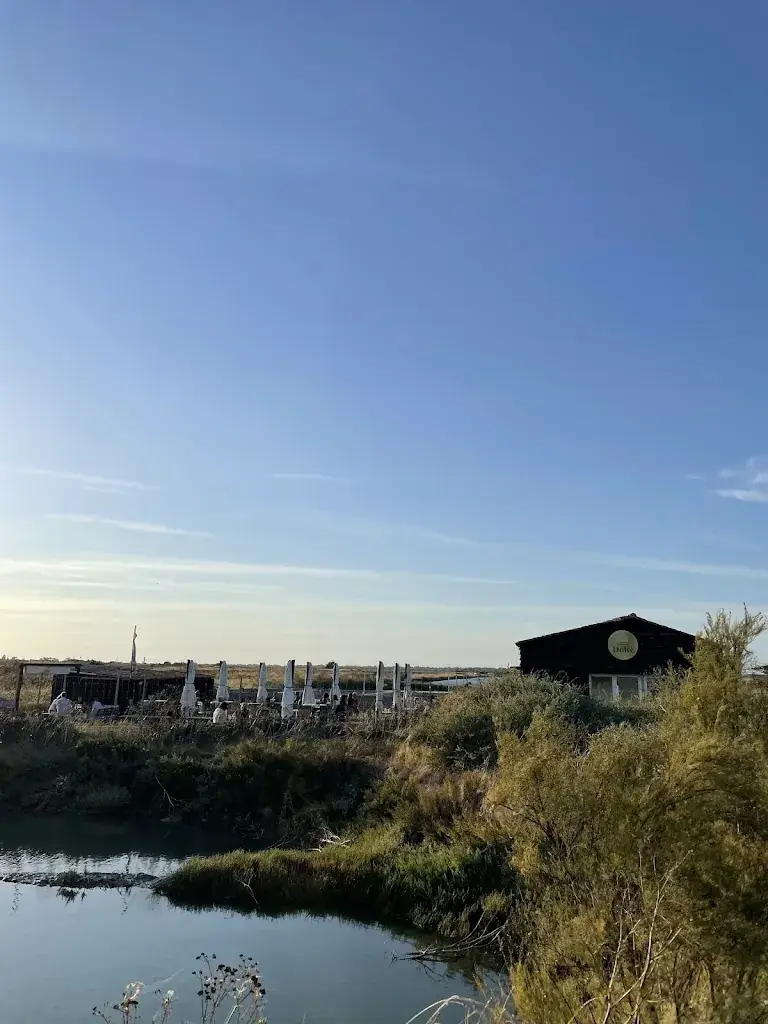 Cat Beck_Huître DoRê_Ars-en-Ré_Bewertung