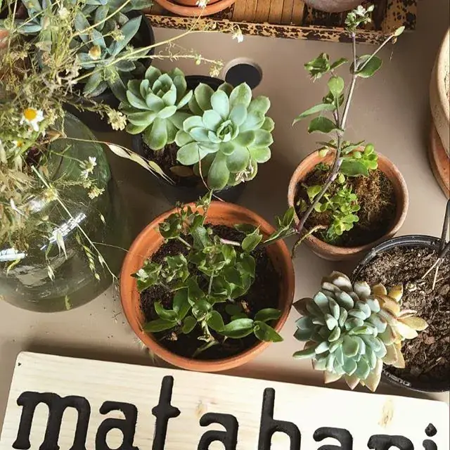 Matahari Food Caravan_Ars-en-Ré_slider_image_2