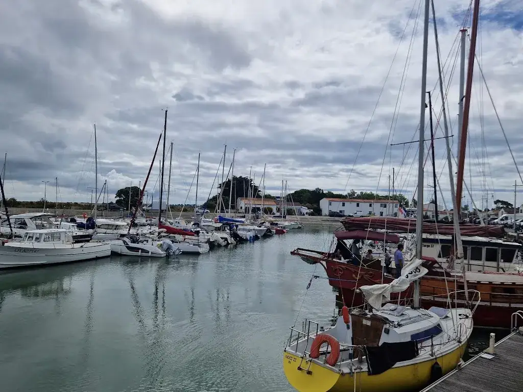 Le V, Port d’ Ars : Cave, Bar à Vins, Huîtres & Tapas_Ars-en-Ré_slider_image_3