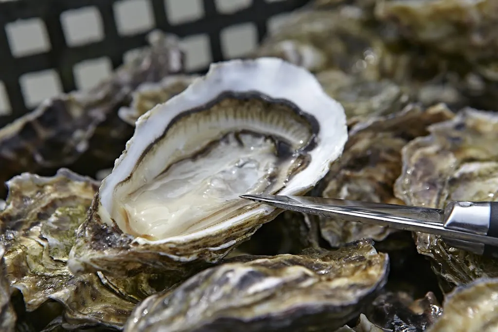 L'Huitrière de Ré - Dégustation de Fruits de Mer - Boutique & Distributeur 24/24_Ars-en-Ré_slider_image_3