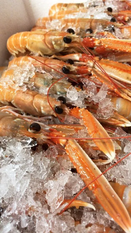 Le Noroit_Tremblade_slider_image_2