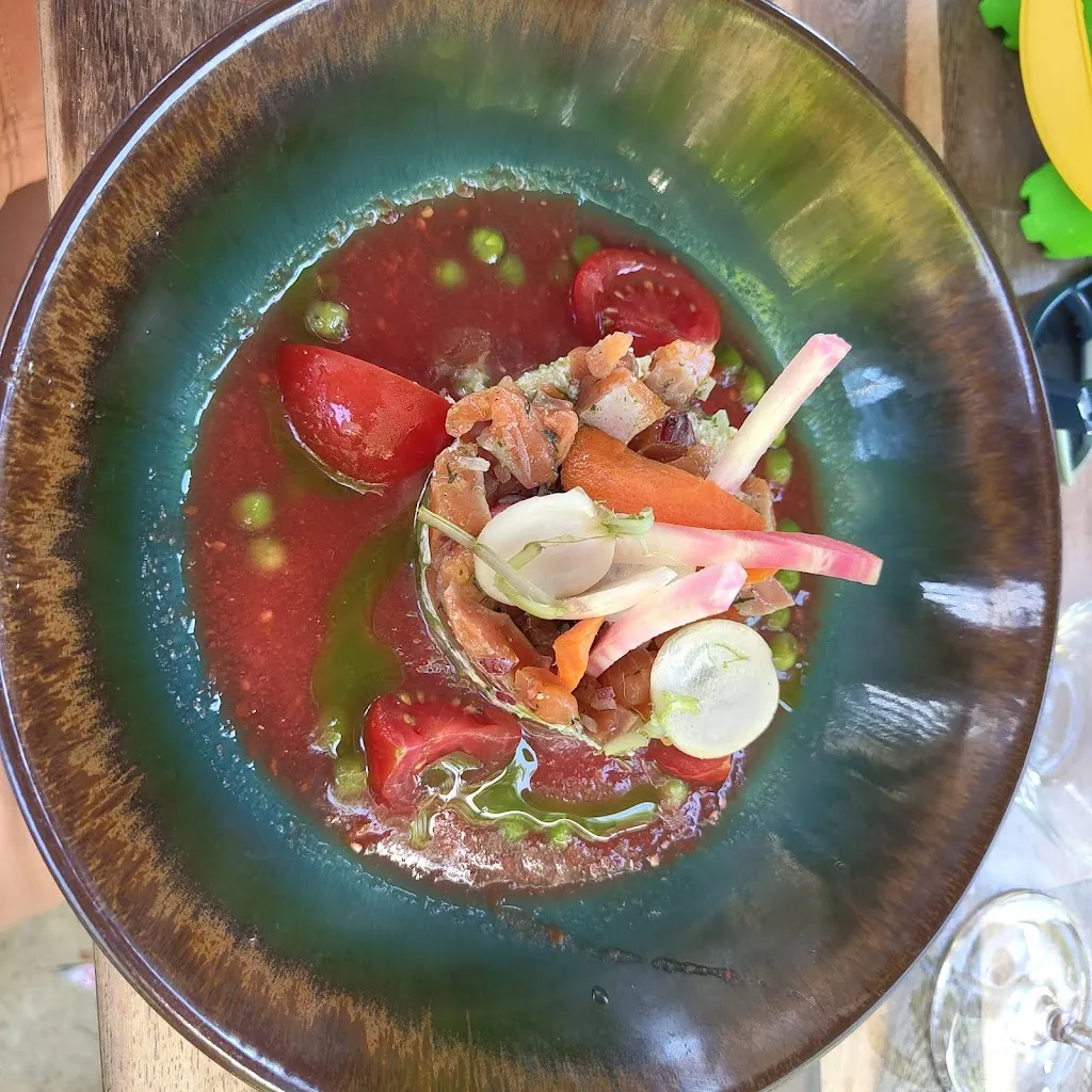 Antoine Delmas_Little Ronce_Tremblade_review