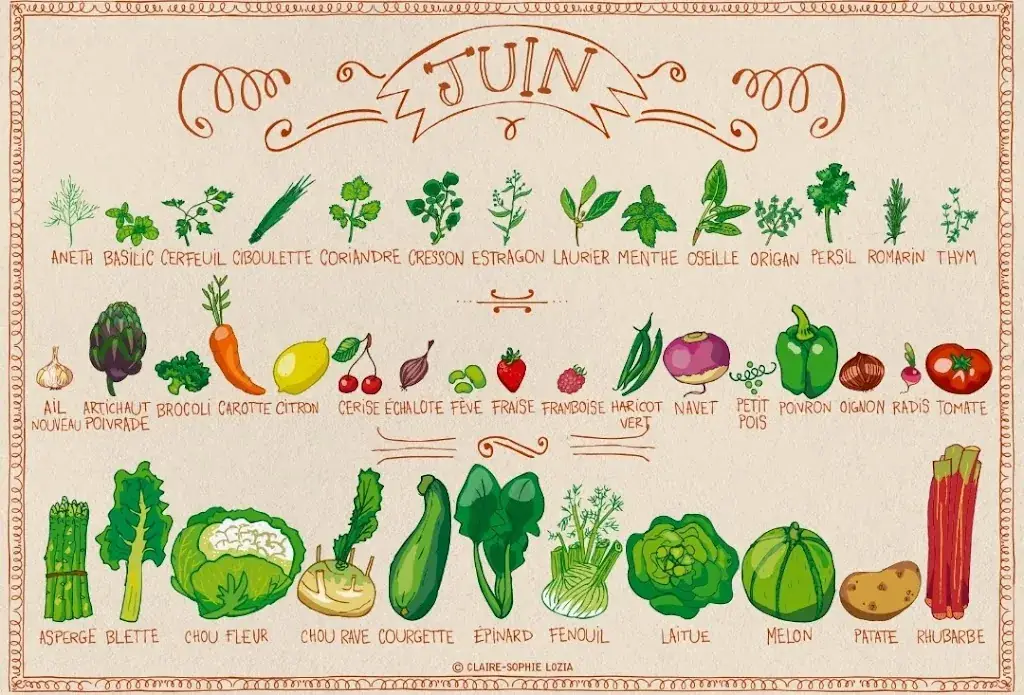 Menu_La Cabane À Fruits & Légumes - Arvert Charente-Maritime_Arvert_image_3