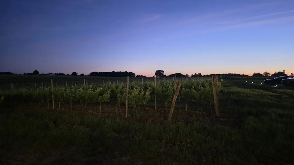 Carl Wong_Château Fage La Maison des Vignes_Arveyres_review