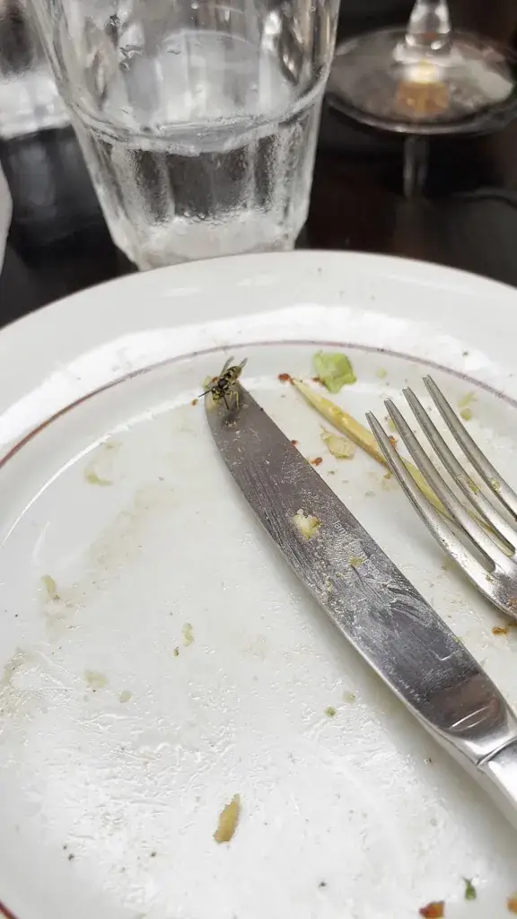 Tradi Burger_Libourne_slider_image_2