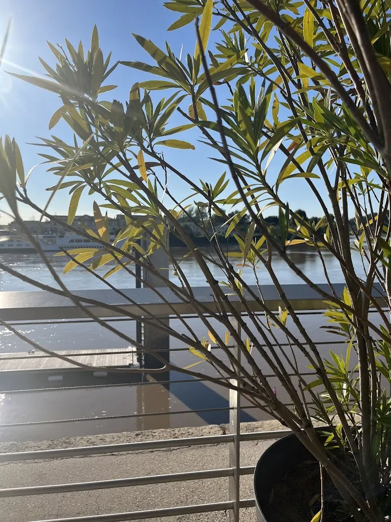 Carole Macleay_L'Embarcadère_Libourne_Bewertung