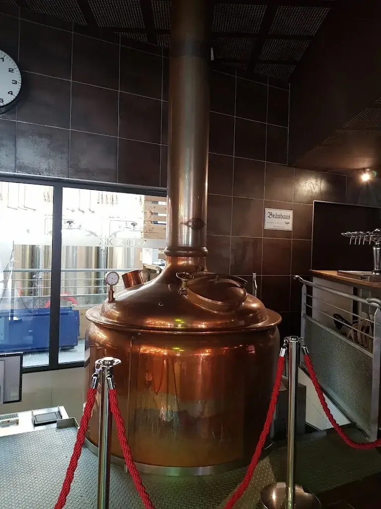 Menu_BRASSERIE AKERBELTZ - AKERBELTZ GARAGARDOTEGIA_Ascain_image_5