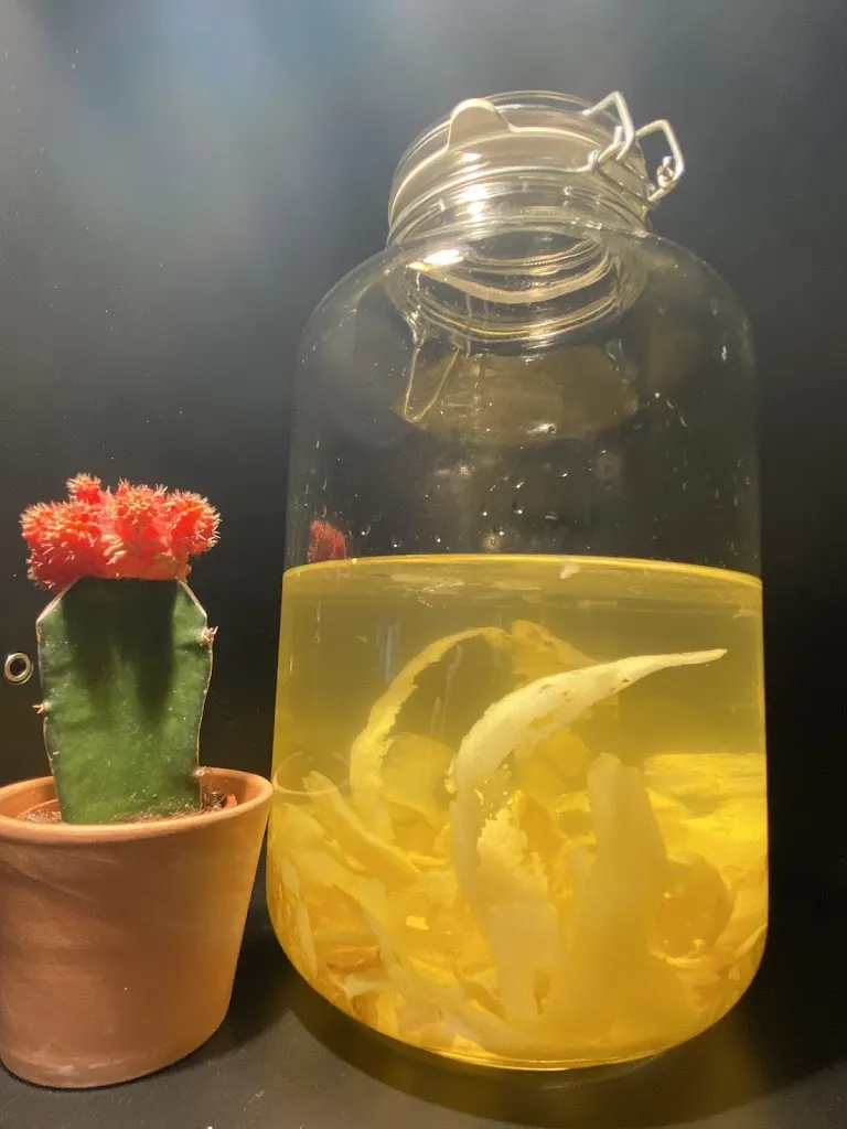 Tavola Calda_Saint-Jean-de-Luz_slider_image_3