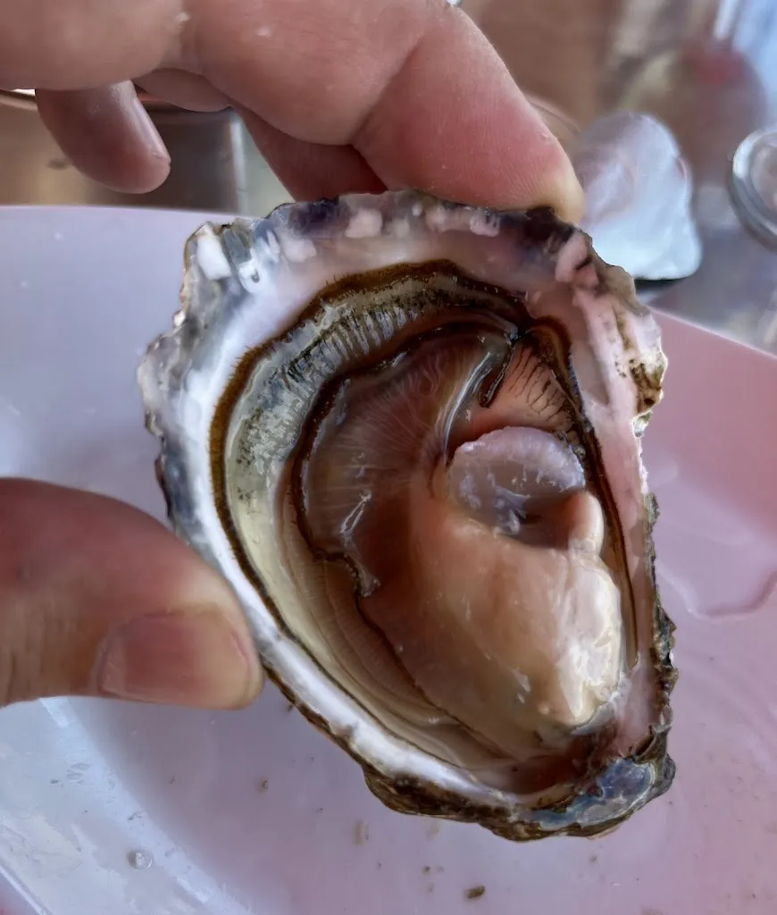 Menu_Chez Baleste - Cabane 12_Audenge_image_7