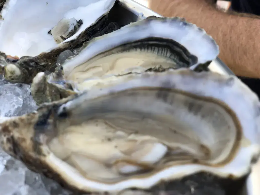 Marion Rockstroh-Kruft_O'mils Cabane n°10_Audenge_review