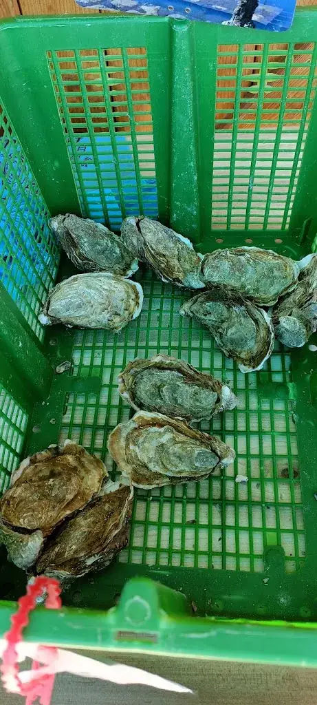 Menu_La terrasse de Larros_Gujan-Mestras_image_6