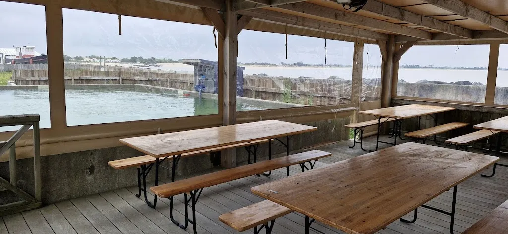 La Petite Cale d'Aytré restaurant in Aytré