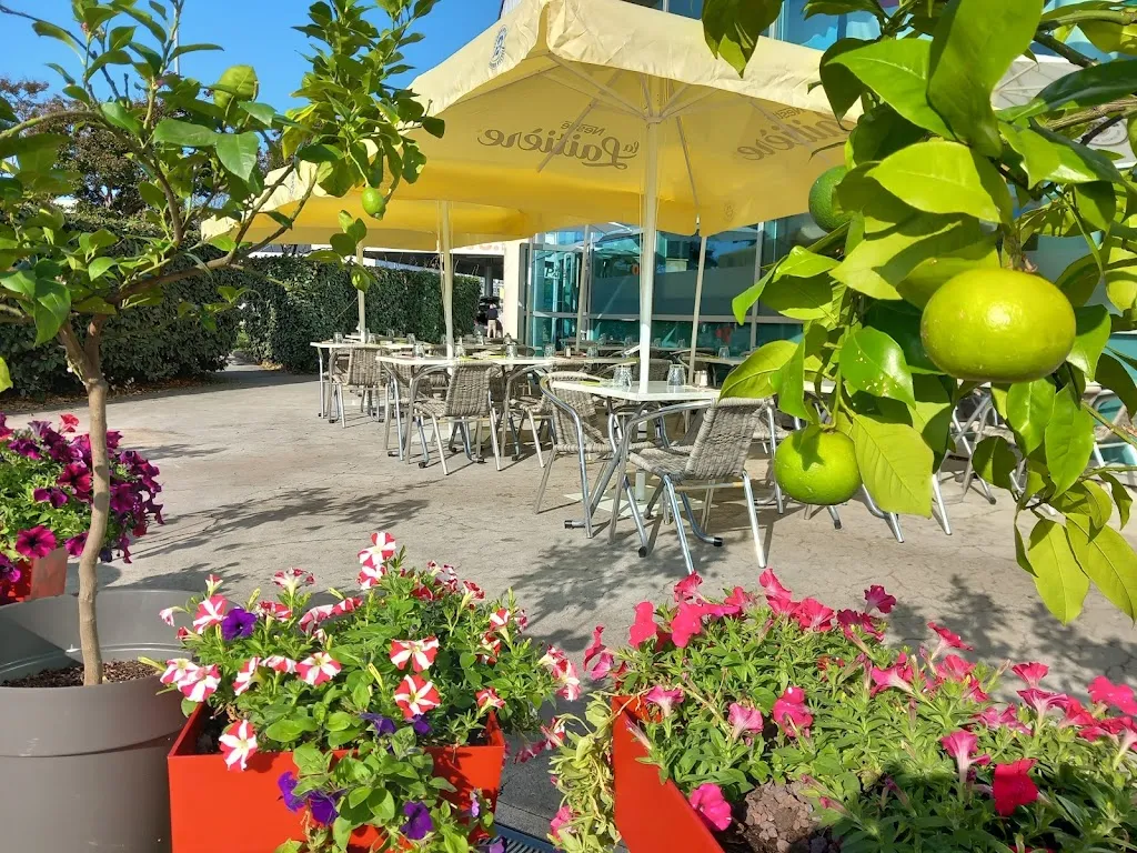 Le Patio_Azay-le-Brûlé_slider_image_3