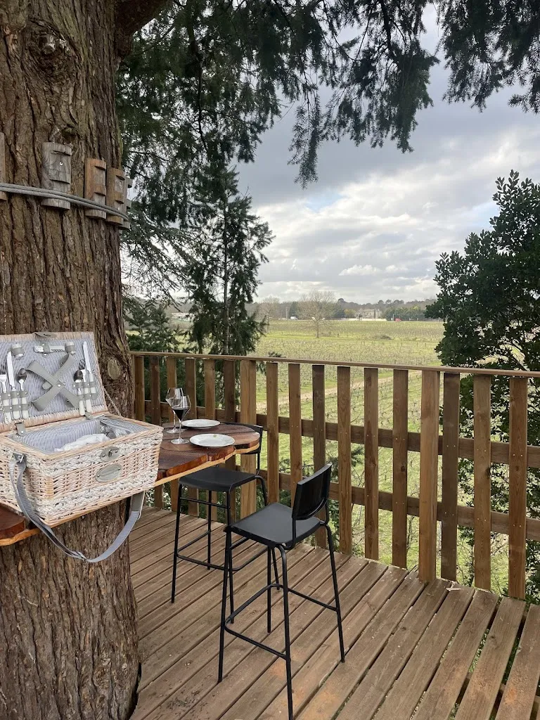 La terrasse du château_Ayguemorte-les-Graves_slider_image_3