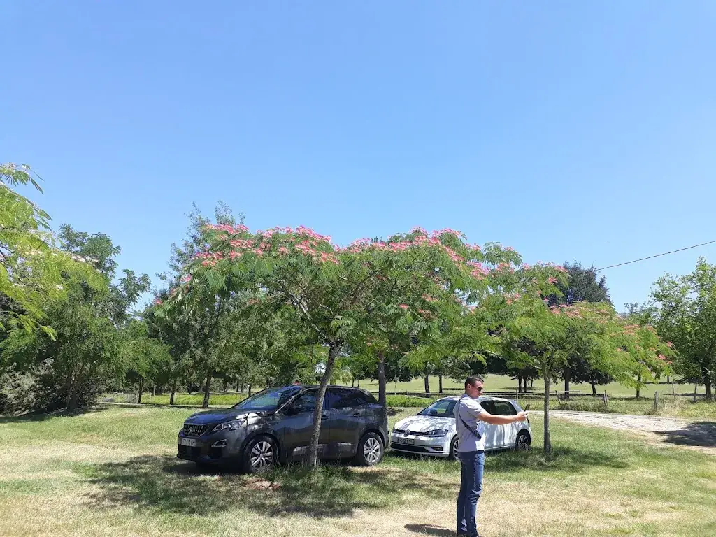 Кирилл Тигай_Auberge Les Contes d'Albret_Nérac_review