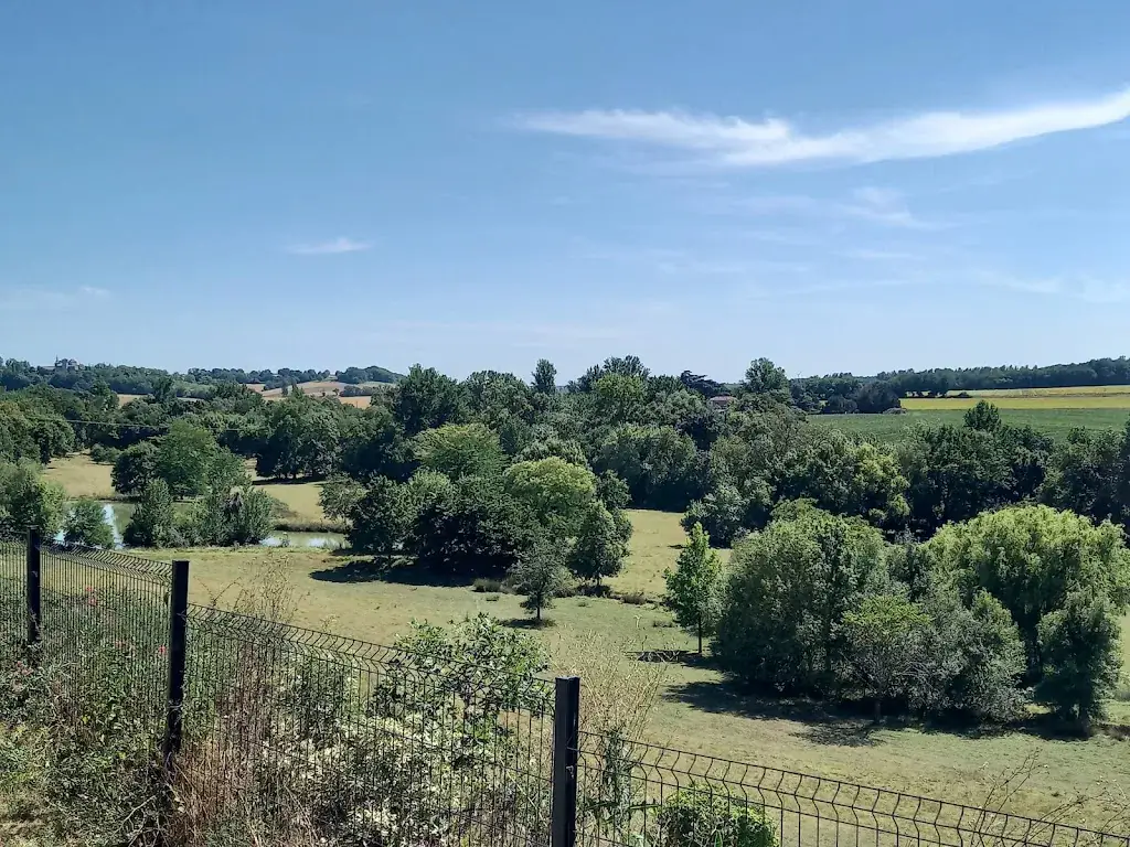 Sylvie Roques_Auberge Les Contes d'Albret_Nérac_review