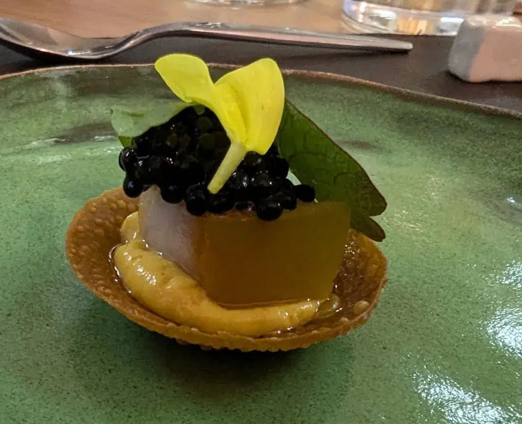 Hugh Duffin_Monsieur Guss_Nérac_review