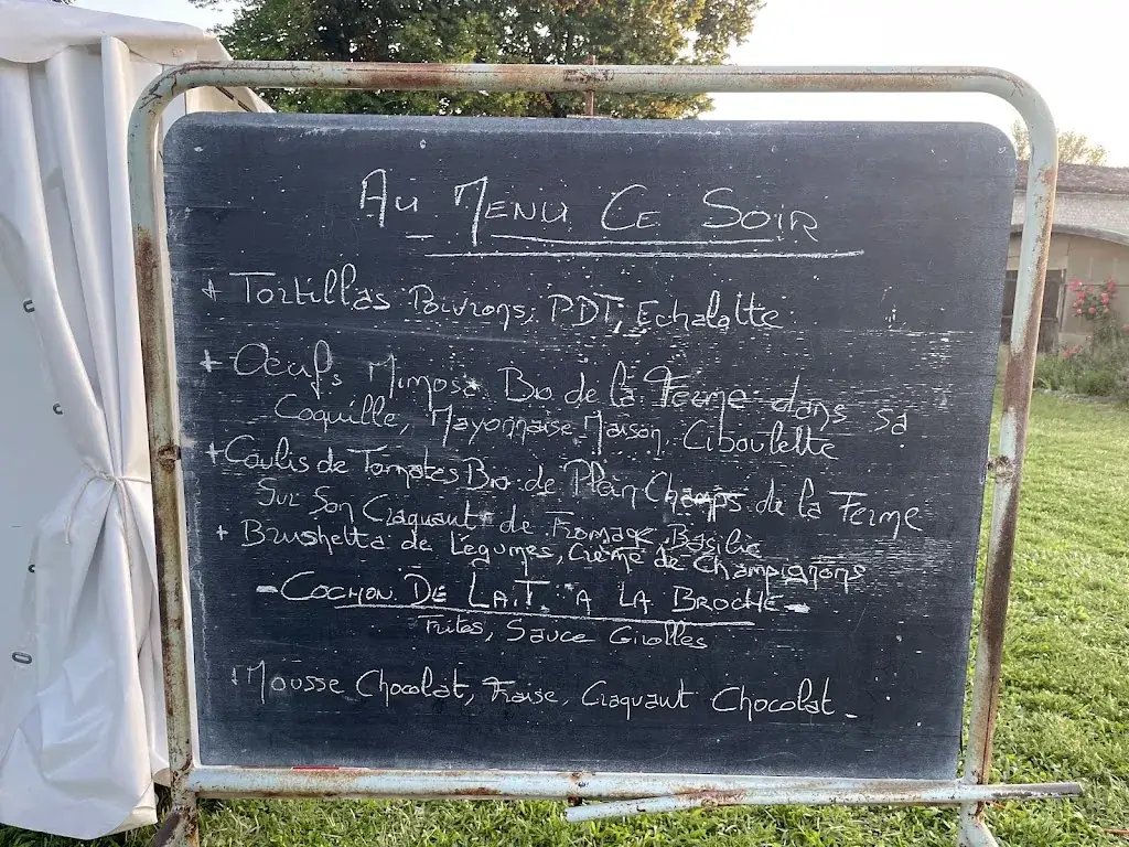 Aubrey Richardson_Guinguette BioEthik La Villa Gallo Romaine_Loupiac_review